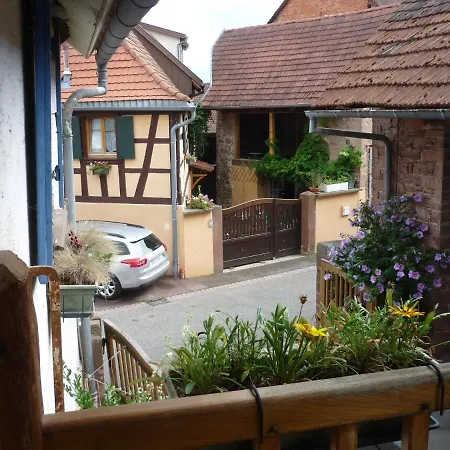 Villa Les Hirondelles Wangen Exterior foto